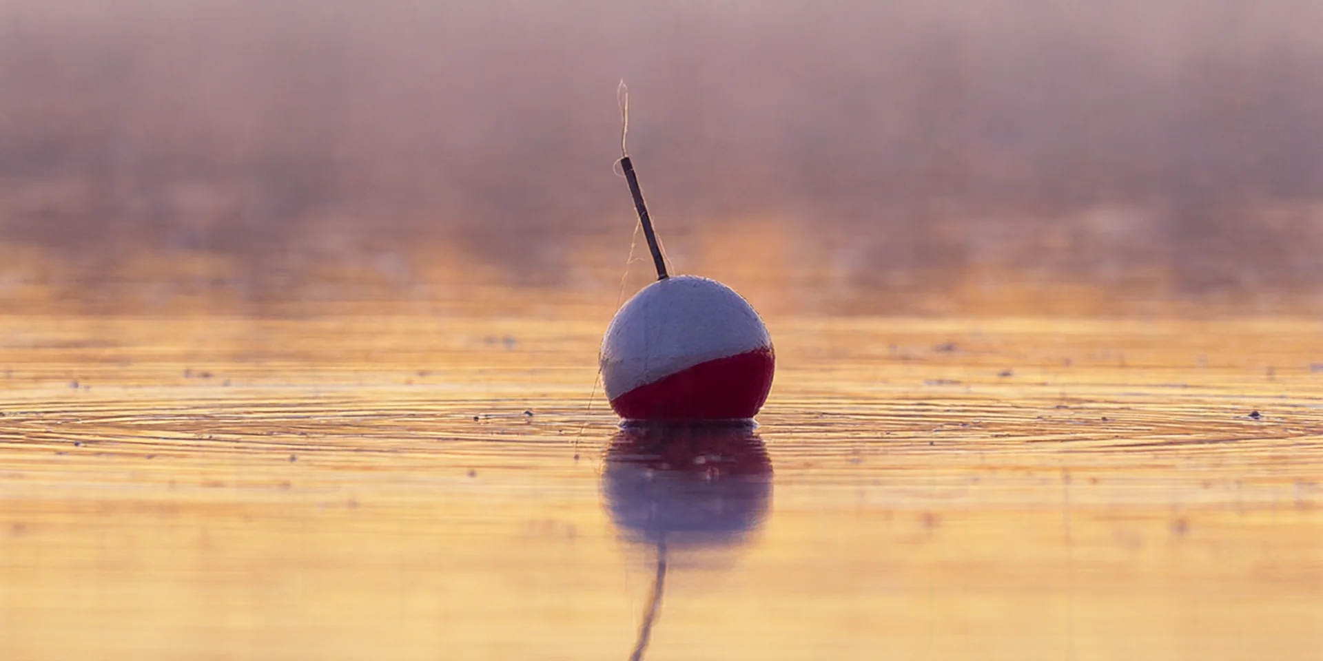 Uma boia de pesca na água parada de um lago ao amanhecer, com ondas finas em volta.